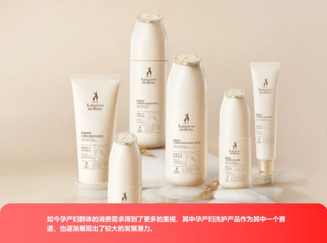 reden看孕产洗护市场的潜力挖掘mg不朽情缘网站从兔头妈妈到Eve(图5)